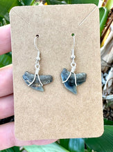Load image into Gallery viewer, Example of a set of Tiger Shark Teeth Fossils on Sterling Silver earrings handmade and wrapped in Florida.