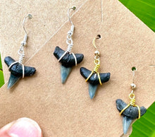 Load image into Gallery viewer, Example of a set of Bull Shark Teeth Fossils on Sterling Silver earrings handmade and wrapped in Florida. 
