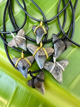 Load image into Gallery viewer, Classic Bull Shark Fossil necklace outer banks beach style handmade in Florida.  Great for spring break, vacations, and everyday life for any shark fan!  Always ethically found, fossilized and ancient. All recovered by digging, scuba diving and fossil hunting in prehistoric Florida oceans.  Enlarged to show detail