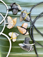 Load image into Gallery viewer, Tiger Shark Marine Fossil Necklace