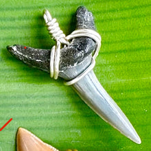 Load image into Gallery viewer, Sand Tiger Shark Marine Fossil Necklace