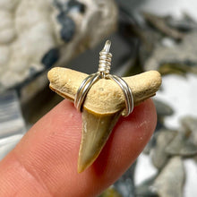 Load image into Gallery viewer, Limited Edition RARE Orange Marine Fossil Necklace