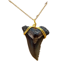 Load image into Gallery viewer, Rare Snaggletooth Marine Fossil Necklace – 14K Gold Pendant