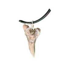 Load image into Gallery viewer, Dagger Shaped Necklace (Lower Snaggletooth)