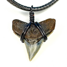 Load image into Gallery viewer, CLASSIC Bull Shark Fossil Necklace
