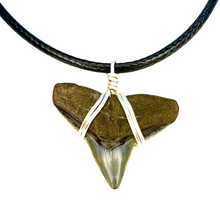 Load image into Gallery viewer, JJ Maybank Style Shark Necklace