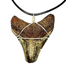 Load image into Gallery viewer, Classic Silver Marine Fossil Necklace
