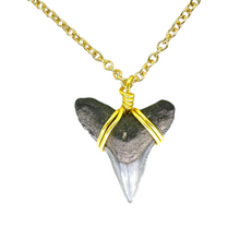 Load image into Gallery viewer, Dainty 14K Gold Filled Marine Fossil Necklace