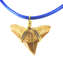Load image into Gallery viewer, Limited Edition RARE Orange Marine Fossil Necklace
