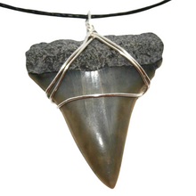 Load image into Gallery viewer, Mako Shark Marine Fossil Necklace