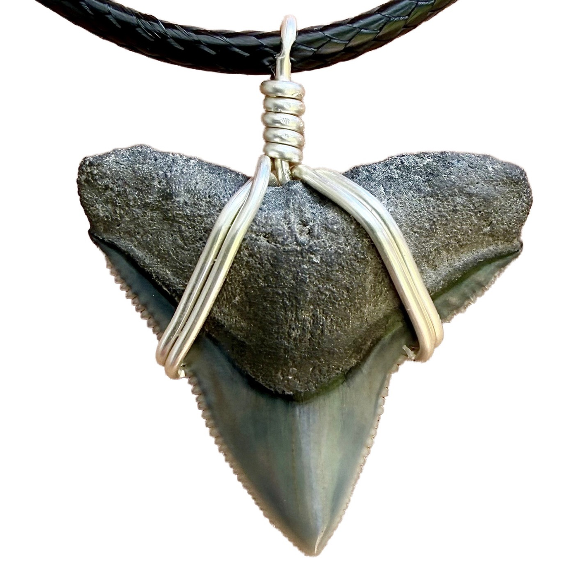 Outer Banks Style Shark Necklace (JJ Maybank) – SHRKco LLC