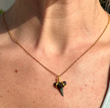 Load image into Gallery viewer, Dainty 14K Gold Filled Marine Fossil Necklace