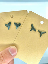 Load image into Gallery viewer, Marine Fossil Stud Earrings