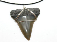 Load image into Gallery viewer, Mako Shark Fossil Necklace
