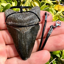 Load image into Gallery viewer, Megalodon Necklace