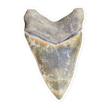 Load image into Gallery viewer, Green Lightning Megalodon Shark Tooth Sticker