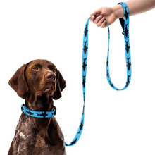 Load image into Gallery viewer, Pet collar & leash