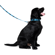 Load image into Gallery viewer, Pet collar & leash