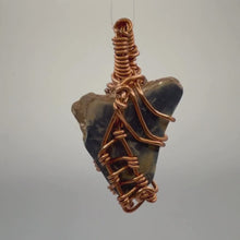 Load and play video in Gallery viewer, Handcrafted Wire Wrapped Partial Meg Fossil Necklace