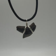Load and play video in Gallery viewer, Tiger Shark Marine Fossil Necklace