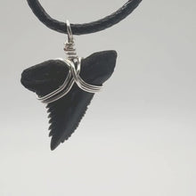 Load and play video in Gallery viewer, Snaggletooth Marine Fossil Necklace