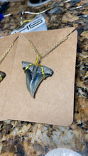 Load and play video in Gallery viewer, Fine Snaggletooth Shark Fossil Necklace: 14kt Gold or Sterling Silver
