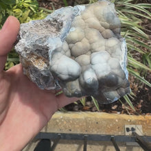 Load and play video in Gallery viewer, HUGE Grey & Purple Agatized Coral Geode