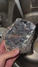 Load and play video in Gallery viewer, A rare agatized coral geode featuring deep black and blue hues with bubbly formations.