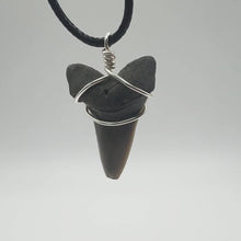 Load and play video in Gallery viewer, Mako Shark Marine Fossil Necklace