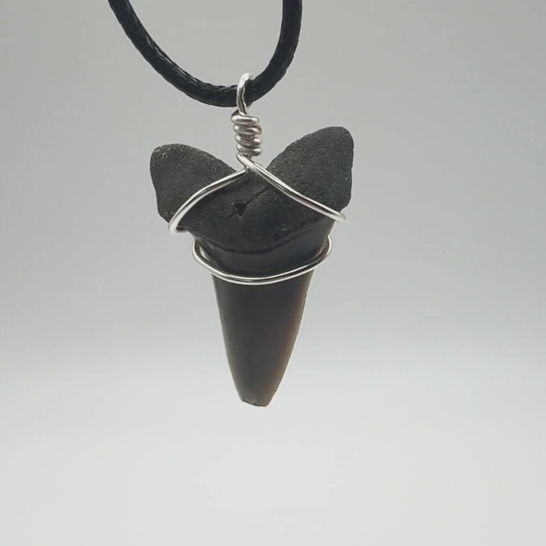 Mako Shark Fossil Necklace | Authentic Fossil Jewelry – SHRKco LLC