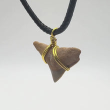 Load and play video in Gallery viewer, Limited Edition RARE Orange Marine Fossil Necklace