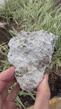 Load and play video in Gallery viewer, WEIRD Grey & Maroon Botryoidal Coral Geode