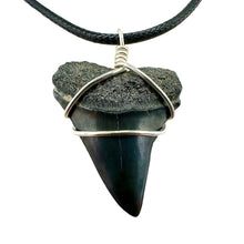 Load image into Gallery viewer, Beautiful, sharp, robust Mako shark fossil necklace. Fossilized sharks fossils from ancient Florida oceans found scuba diving and handmade custom. White shark ancestor fossil makes great jewelry for any shark, ocean and nature lover