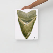 Load image into Gallery viewer, Green Lightning Megalodon Canvas Prints