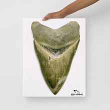 Load image into Gallery viewer, Green Lightning Megalodon Canvas Prints