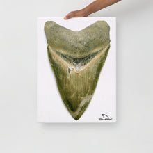 Load image into Gallery viewer, Green Lightning Megalodon Canvas Prints