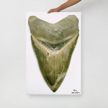 Load image into Gallery viewer, Green Lightning Megalodon Canvas Prints