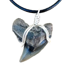 Load image into Gallery viewer, Tiger Shark Marine Fossil Necklace