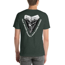 Load image into Gallery viewer, SHRKco Classic Megalodon Tee