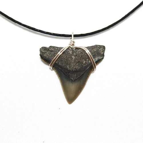 Classic Bull Shark Fossil necklace outer banks beach style handmade in Florida.  Great for spring break, vacations, and everyday life for any shark fan!  Always ethically found, fossilized and ancient. All recovered by digging, scuba diving and fossil hunting in prehistoric Florida oceans. 