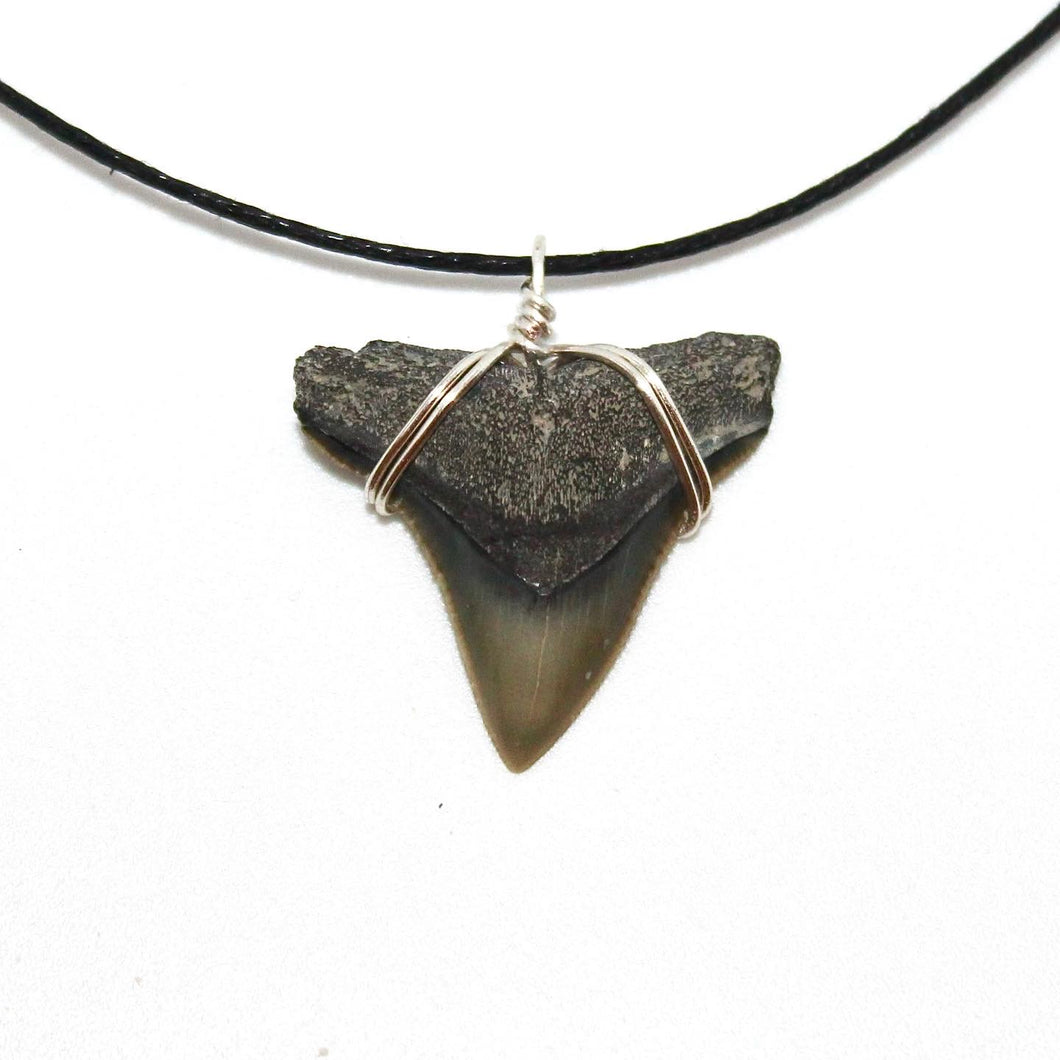 Classic Bull Shark Fossil necklace outer banks beach style handmade in Florida.  Great for spring break, vacations, and everyday life for any shark fan!  Always ethically found, fossilized and ancient. All recovered by digging, scuba diving and fossil hunting in prehistoric Florida oceans. 
