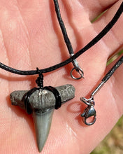 Load image into Gallery viewer, A classic shark tooth necklace. Stainless steel lobster clasps, crimps and jump rings and very tightly tied wire wrapping. Waterproof