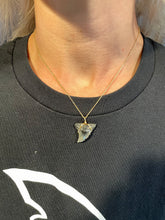 Load image into Gallery viewer, Fine Snaggletooth Shark Fossil Necklace: 14kt Gold or Sterling Silver
