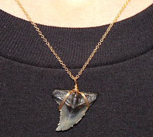 Load image into Gallery viewer, Rare Snaggletooth Marine Fossil Necklace – 14K Gold Pendant