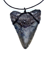 Load image into Gallery viewer, Megalodon Necklace