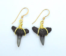 Load image into Gallery viewer, Fossilized Marine Dangle Earrings in 14kt Gold or Sterling Silver
