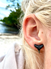 Load image into Gallery viewer, Marine Fossil Stud Earrings