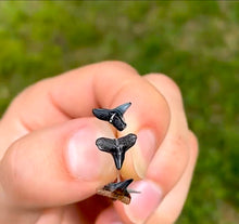 Load image into Gallery viewer, Marine Fossil Stud Earrings