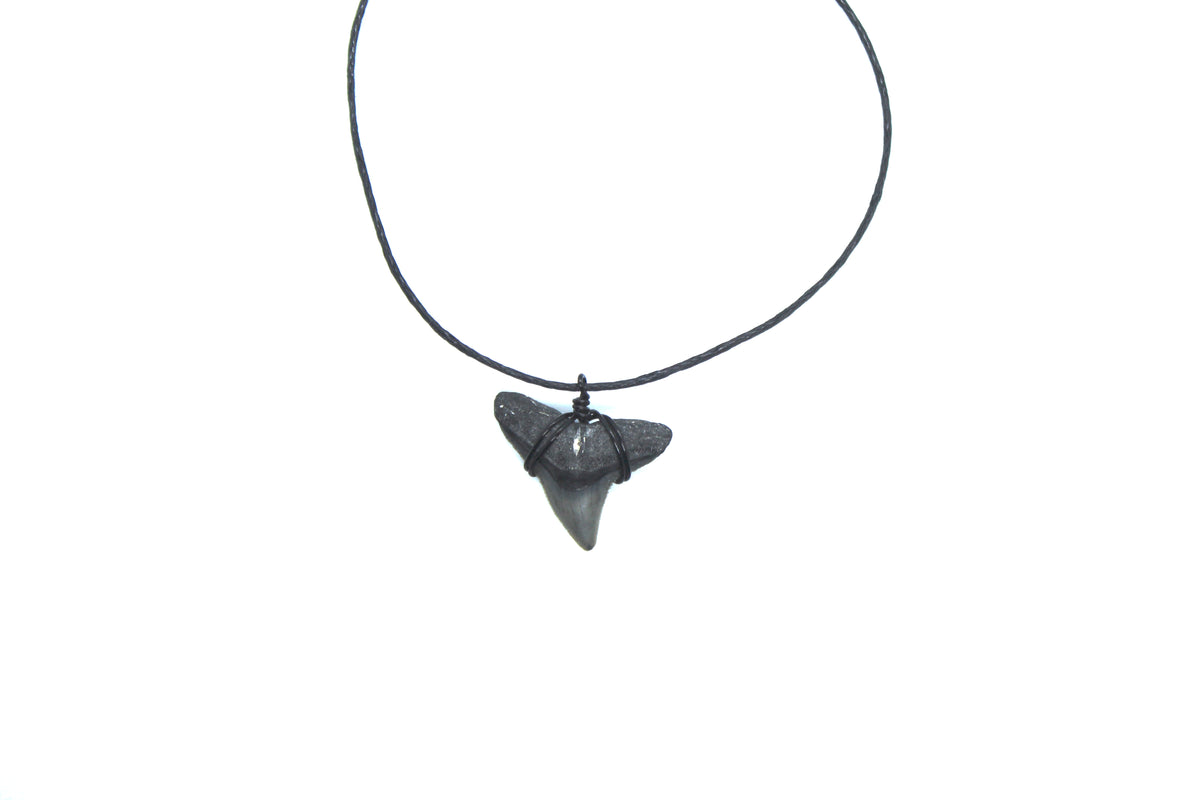 Missoma sale Shark large Tooth