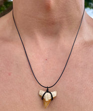 Load image into Gallery viewer, Limited Edition RARE Orange Marine Fossil Necklace